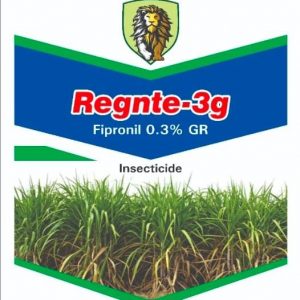 REGNT-3g